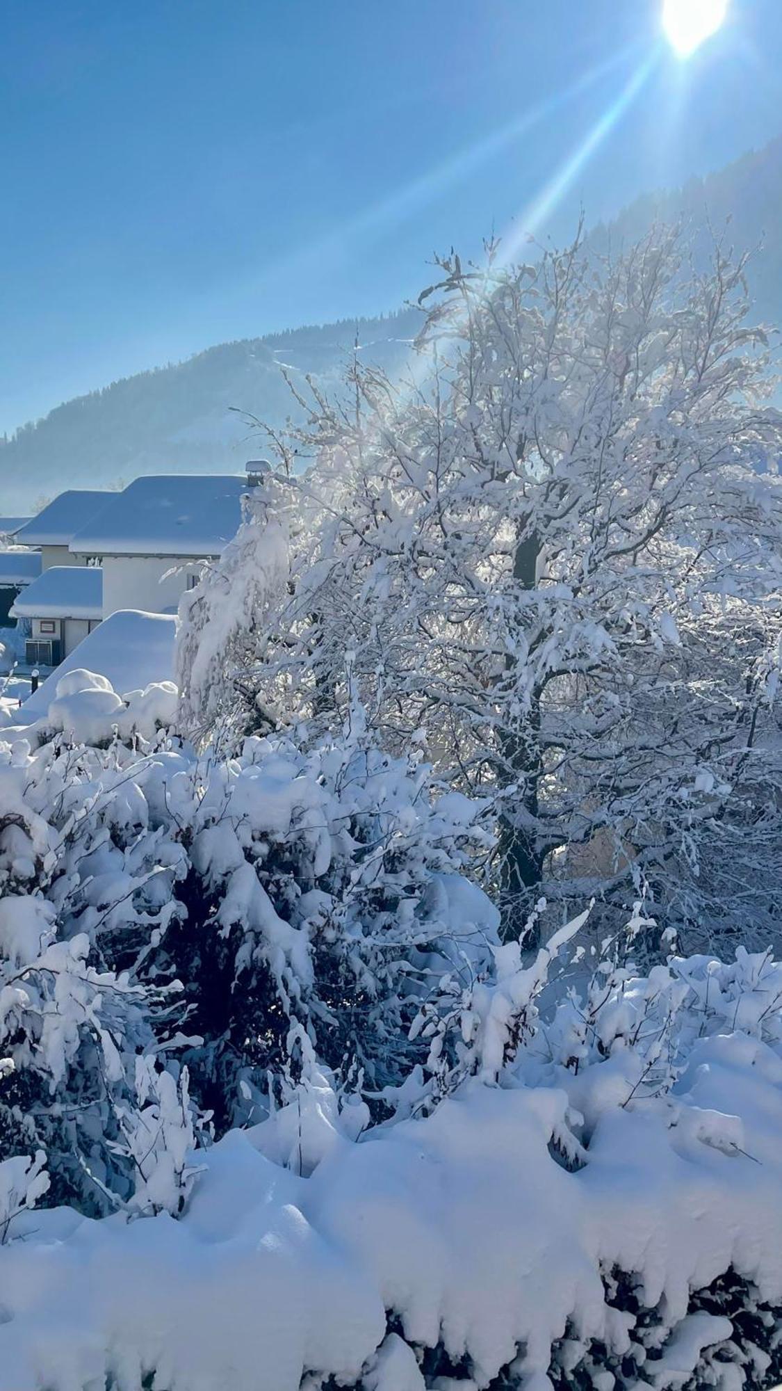 Ferienwohnung Alpseeliebe Immenstadt im Allgaeu Exterior photo